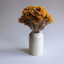 Load image into Gallery viewer, Speckled Egg Mini Bud Vase

