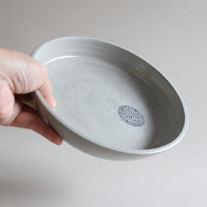 Grey Speckled Dishes